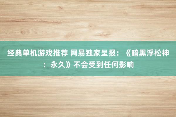 经典单机游戏推荐 网易独家呈报：《暗黑浮松神：永久》不会受到任何影响